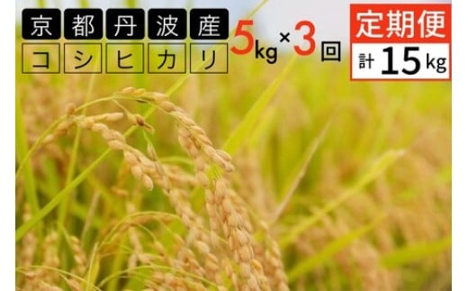 【5月発送】【定期便】令和7年産 新米 5kg 3ヶ月 京都丹波産 コシヒカリ 白米<JA京都 たわわ朝霧> 3回定期便 5kg×3回 計15kg 毎月発送に合わせて精米京都府亀岡市44000米・パン白米