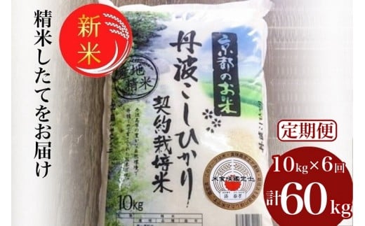 【2カ月に1回お届け(12月発送)】【定期便】令和7年産 新米 京都丹波米 こしひかり10kg×6回 計60kg◇◆◇ 米 6ヶ月 白米 6回定期便 ※精米したてをお届け コシヒカリ 新米精米 新米定期便 令