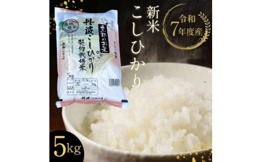【令和7年産 新米】京都丹波・亀岡産 こしひかり 5kg 米 白米 ※精米したてをお届け《契約栽培米 米・食味鑑定士厳選 コシヒカリ 京都丹波産 数量限定 訳あり 簡易包装》※北海道・沖縄・
