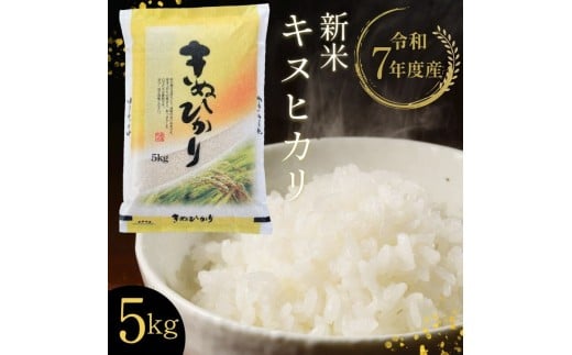 【令和7年産 新米】京都丹波・亀岡産 キヌヒカリ 5kg 米 白米 ※精米したてをお届け《契約栽培米 米・食味鑑定士厳選 きぬひかり 京都丹波産 数量限定 訳あり 簡易包装》※北海道・沖縄・
