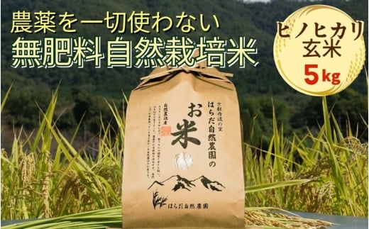 米 令和7年産 自然栽培米 ヒノヒカリ <農薬を一切使わない無肥料栽培> 玄米5kg 《京都丹波産 最高良食味 人気品種》京都府亀岡市27000米・パン玄米・雑穀米・もち米・餅