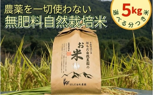 米 令和7年産 自然栽培米 ヒノヒカリ <農薬を一切使わない無肥料栽培>精米(八分つき米)米5kg 《京都丹波産 最高良食味 人気品種 精米仕立て》京都府亀岡市29000米・パン白米