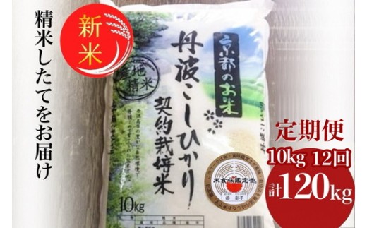 y2zy1񂨓͂zyցzߘa7NY V sOg Ђ10kg×12 v120kg  12  12 ĂĂ͂ RVqJ VĒ Ē sOg