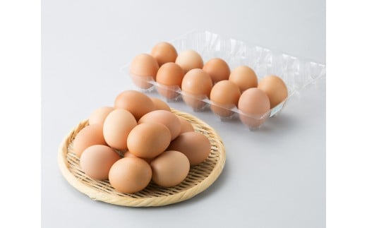 015I22  ɍY݂̗{{̂܂[Iins{ɍ15000Eii{AG{j