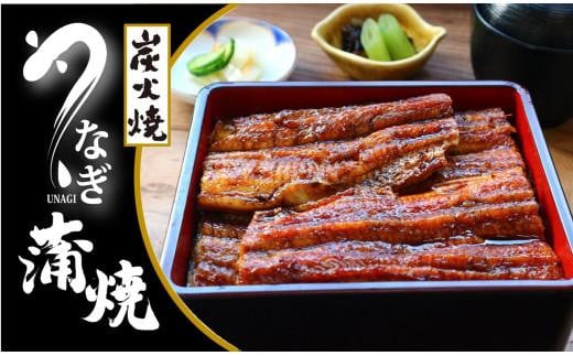 【国産】炭火焼うなぎ蒲焼2尾分 (タレ・山椒付)大阪府貝塚市30000魚介・海産物うなぎ