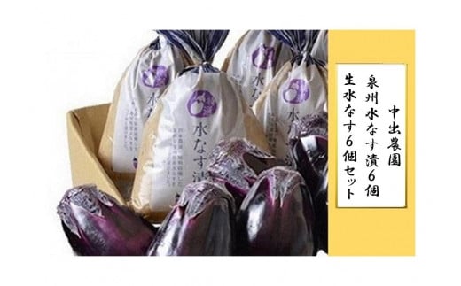 【先行予約】中出農園 泉州水なす漬6個+生水なす6個セット大阪府貝塚市18000鍋セット・総菜・加工食品漬物・梅干・キムチ