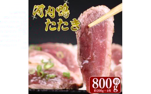 ͓ [X  n[tTCY 4  800g   c{X ͓[X n[tTCY ͓ [X [X   [X   { Ԃ  {