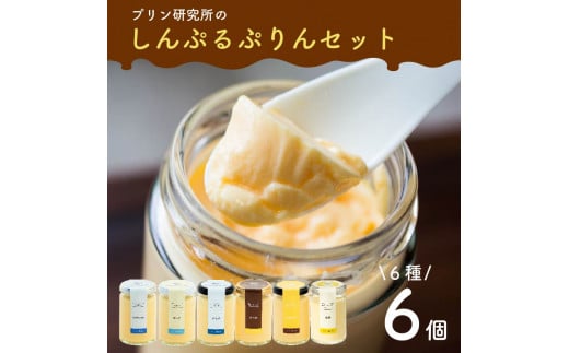 Vvv 6 6Zbg \[Xt  Ȃ߂炩 ojv oj  4 6 XC[c  J v[g Mtg 蕨 j p   v