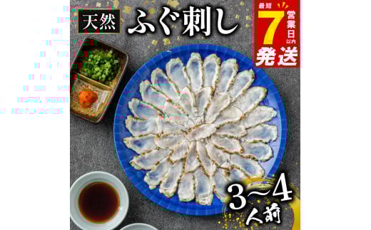 7営業日以内発送 天然 ふぐ 刺身 3〜4人前 冷凍 真空 解凍するだけ お手軽 まふぐ 炙り たたき 大皿 てっさ 国産 フグ刺し 刺し身 河豚 高級 鮮魚 魚 魚介 新鮮 家庭用 プレゼント 鍋 大阪府 松