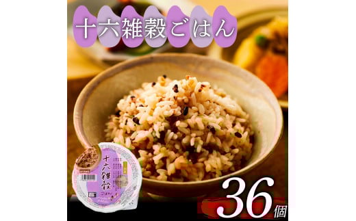 \ZG ͂pbN 160g 36 pbN͂ pbN ͂pbN уpbN pbNCX pbN 16G G  ͂   CX ~ ۑ h W  ȒP `