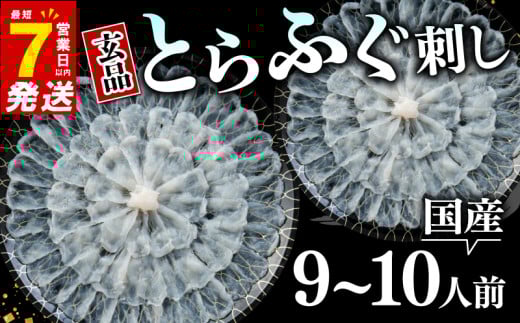 7cƓȓ ӂ hg 9`10lO Ⓚ ^ 𓀂邾 y Ƃӂ M Ă Y tOh hg ͓  N   VN ƒp v[g  { s  