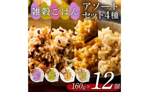 雑穀ごはん アソートセット 4種 160g 12個 十六雑穀 発芽玄米 玄米 もち麦 パックごはん パックご飯 ごはんパック ご飯パック パックライス パック 16雑穀 雑穀 米 ごはん ご飯 こめ ライス 備