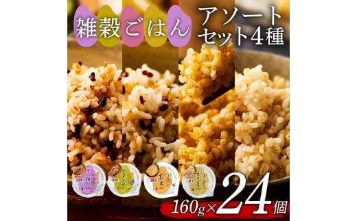 雑穀ごはん アソートセット 4種 160g 24個 十六雑穀 発芽玄米 玄米 もち麦 パックごはん パックご飯 ごはんパック ご飯パック パックライス パック 16雑穀 雑穀 米 ごはん ご飯 こめ ライス 備