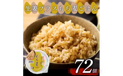 生姜プラスもち麦 ごはんパック 160g 72個 生姜 もち麦 麦 米 ごはん ご飯 こめ パックライス パックご飯 パックごはん ご飯パック ごはんパック パック ライス 備蓄 防災 保存 電子 レンジ 温