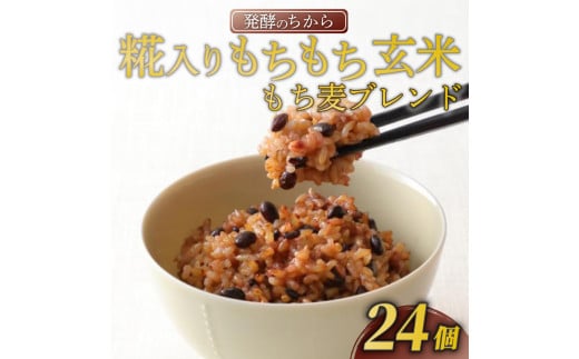 選べる種類 玄米パック 160g × 24個 12個 × 2ケース 発酵のちから 糀入りもちもち玄米 もち麦 ブレンド 選べる ご飯パック ご飯 玄米 金のいぶき 美容 健康 発酵 お米 栄養大阪府松原市25000鍋セ