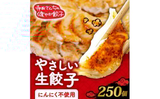 やさしい生餃子 250個 にんにく 不使用 ヘルシー 冷凍 餃子 ぎょうざ 国産野菜 おから 鶏肉 アボカド ヨーグルト 生餃子 ギョウザ ギョーザ 焼き餃子 水餃子 冷凍餃子 惣菜 夜ご飯 おかず 時