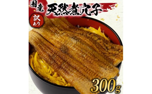 󂠂 όq 300g Y  Ⓚ Ȃ q VR s   N CN   ݖ ^ ύ i  茧 Y { {s20000ECYȂ