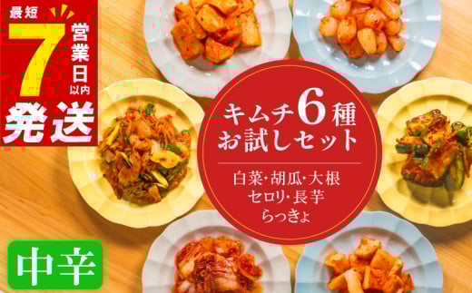 中辛 キムチ 6種 詰め合わせ 食べ比べ 小分け 白菜 長芋 胡瓜 大根 セロリ らっきょ アソート バラエティーセット ごはんのお供 ピリ辛 お米 ごはん ビール 酒 おつまみ 漬物 北海道 昆布 国