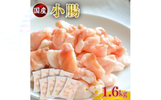 国産 小腸 ホルモン 1.6kg 牛肉 冷凍 真空 小分け 200g×8 パック お肉 牛肉 牛ホルモン 焼肉 焼き肉 ホルモン焼き モツ鍋 もつ鍋 ホルモン 鍋 バーベキュー 鉄板焼き ホルモン 牛 牛もつ BBQ ご飯
