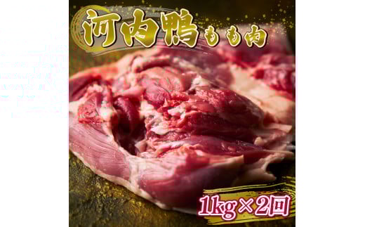 定期便 2ヶ月 河内鴨 もも肉 1kg スライス ギフト プレゼント  贈り物 鴨 かも カモ 鴨肉 かも肉 カモ肉 肉 鶏肉 河内鴨 もも肉 美味しい 贈答 お祝い 内祝い 大阪府 松原市大阪府松原市35000肉