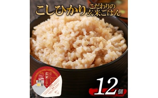 こしひかり 玄米ごはんパック 120g 12個 玄米 米 お米 ごはん ご飯 こめ パックライス パックご飯 パックごはん ご飯パック ごはんパック パック ライス 備蓄 保存 非常 防災 電子 レンジ 温め