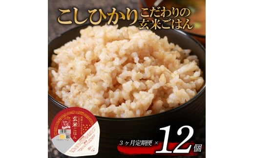 定期便 3回 こしひかり 玄米ごはんパック 120g 12個 玄米 米 お米 ごはん ご飯 こめ パックライス パックご飯 パックごはん ご飯パック ごはんパック パック ライス 備蓄 保存 非常 防災 電子