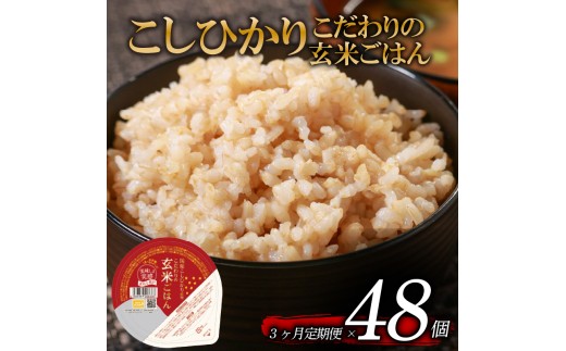 定期便 3回 こしひかり 玄米ごはんパック 120g 48個 玄米 米 お米 ごはん ご飯 こめ パックライス パックご飯 パックごはん ご飯パック ごはんパック パック ライス 備蓄 保存 非常 防災 電子