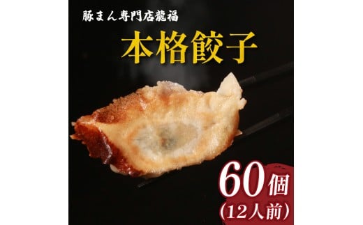 TVで多数紹介! 餃子 60個 12人前 美味しい 小分け 冷凍 お弁当 夕食 夕ご飯 惣菜 リピーター ヘルシー おかず 保存料不使用 常備 中華 中華料理 手作り 豚まん専門店龍福 二見 大阪府 松原市大