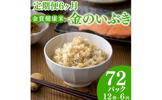 定期便6ヶ月 ご飯パック 金賞 健康米 金のいぶき  120g×12個入り 国産 レンチン もち麦 軽食 夜食 簡単 白米 麦 食物繊維 ビタミン 御飯 ごはん パック ご飯 パックライス大阪府松原市90000米・