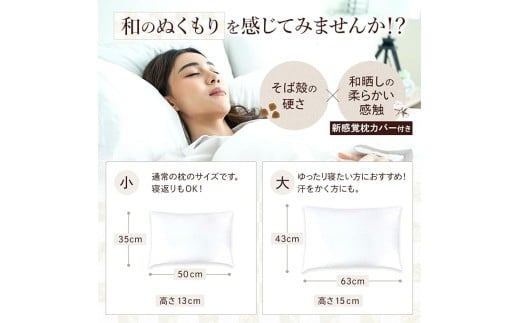 yn݌vz n100N̂ Ίk  35cm×50cm sN { I[KjbNf d   񂱂  K ʋC Q s[ a VRf VR  WJ T|[g