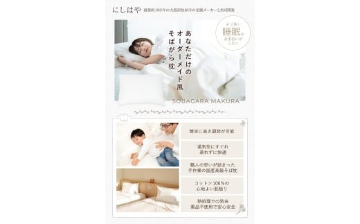 yn݌vz n100N̂ Ίk   43cm×63cm ubN { I[KjbNf d   񂱂  K ʋC Q s[ a VRf VR J[WJ 