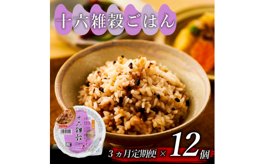 3 \ZG ͂pbN 160g 12 pbN͂ pbN ͂pbN уpbN pbNCX pbN 16G G  ͂   CX ~ ۑ h W  ȒP