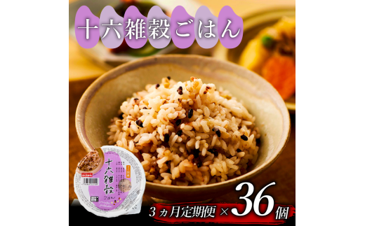  3 \ZG ͂pbN 160g 36 pbN͂ pbN ͂pbN уpbN pbNCX pbN 16G G  ͂   CX ~ ۑ h W  ȒP