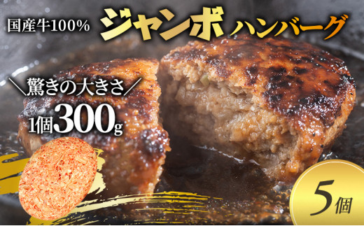 【牛壱】国産牛100% ジャンボハンバーグ 5個 300g×5個大阪府柏原市13000肉加工肉(ハム・ソーセージ等)