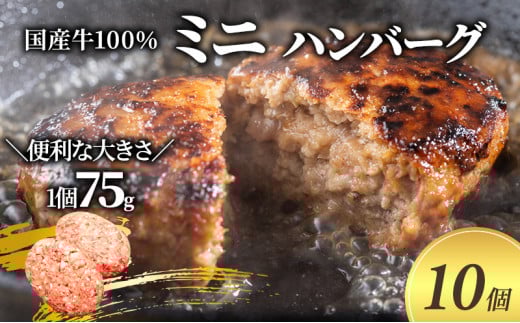 【牛壱】国産牛100% ミニハンバーグ 75g×10個大阪府柏原市12000肉加工肉(ハム・ソーセージ等)