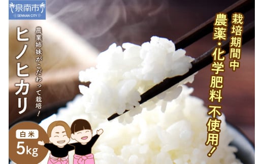 農業姉妹がこだわって栽培!ヒノヒカリ白米5kg【024D-005】大阪府泉南市17000米・パン白米