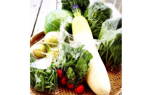 直売所の泉南産旬野菜セット詰め合わせ 100サイズ箱【015E-009】大阪府泉南市8500野菜・きのこその他 野菜