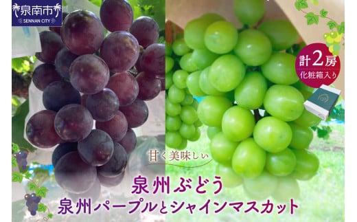 BԂǂ Bp[vƃVC}XJbg̃Zbgy065D-016z{s26000ʕEt[c}XJbgEԂǂ