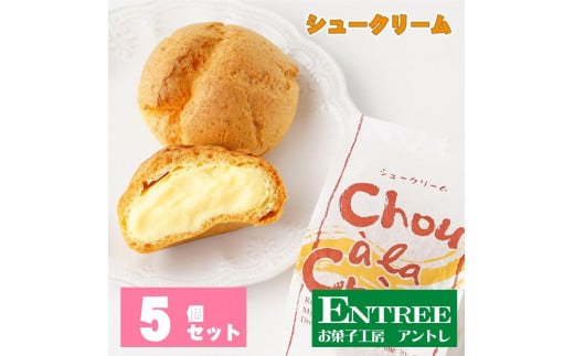シュークリーム5個セット【074D-026】大阪府泉南市11000菓子・スイーツその他 洋菓子