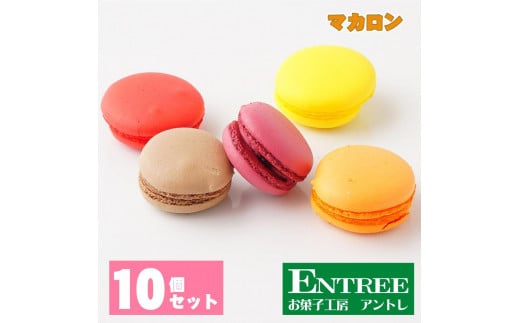 マカロン10個セット【074D-029】大阪府泉南市17000菓子・スイーツ焼き菓子