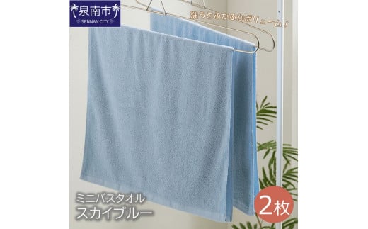 ハンガーで干せるミニバスタオル スカイブルー2枚【039E-047】大阪府泉南市6000雑貨・日用品寝具・タオル