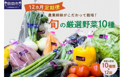 農業姉妹がこだわって栽培!旬の厳選野菜10種 1年定期便【024A-021】大阪府泉南市211000野菜・きのこその他 野菜