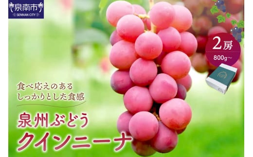 BԂǂ NCj[i 2[y065D-013z{s25000ʕEt[c}XJbgEԂǂ