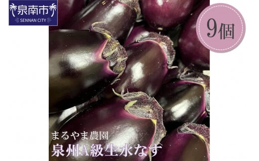 まるやま農園 泉州A級生水なす【087D-033】大阪府泉南市10000野菜・きのこその他 野菜