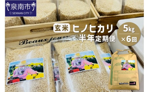 農業姉妹がこだわって栽培!玄米5kg半年定期便【024B-006】大阪府泉南市98000米・パン玄米・雑穀米・もち米・餅
