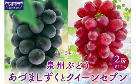 BԂǂ Â܂ƃNC[Zu̍ʂZbgy065D-017z{s23500ʕEt[c}XJbgEԂǂ