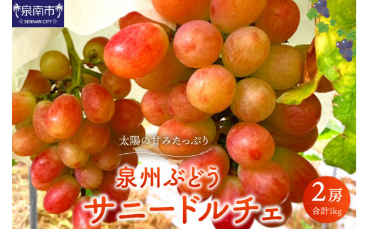BԂǂ z̊Â݂ՂTj[h`Fy065D-018z{s19500ʕEt[c}XJbgEԂǂ