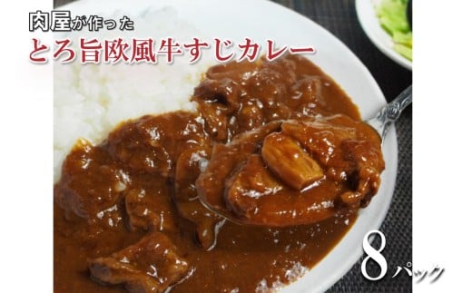 とろ旨欧風牛すじカレー(200g×8パック)【配送不可地域:北海道・沖縄】【069D-011】大阪府泉南市13500鍋セット・総菜・加工食品総菜