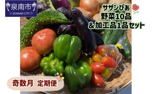 サザンぴあ 野菜10品&加工品1品セット 奇数月定期便【015A-003】大阪府泉南市440000野菜・きのこその他 野菜