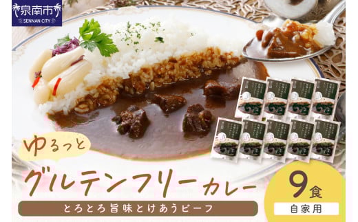 【自家用 化粧箱なし】ゆるっとグルテンフリー とろとろ旨味とけあうビーフカレー(中辛)9食セット【092D-013】大阪府泉南市19500鍋セット・総菜・加工食品総菜